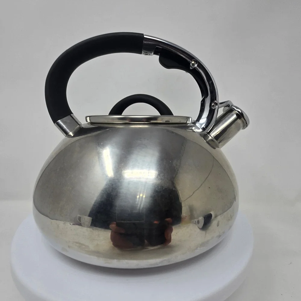 Brandani Stainless Steel Whistling Tea Kettle Induction Gas Electric Stovetop